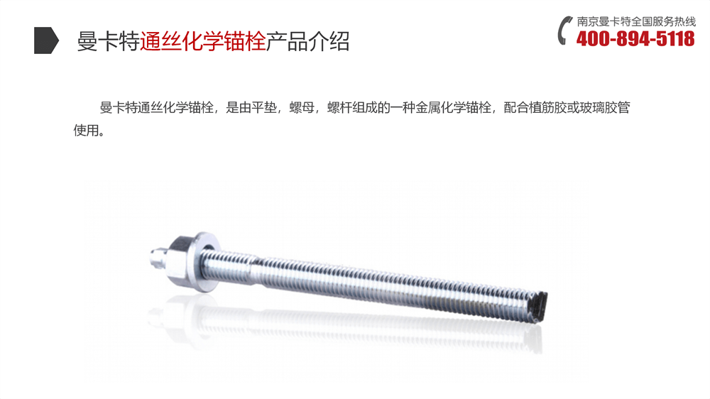 耐高溫化學(xué)錨栓 (10)